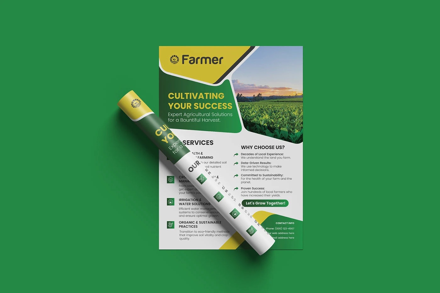 Flyer or Leaflet design